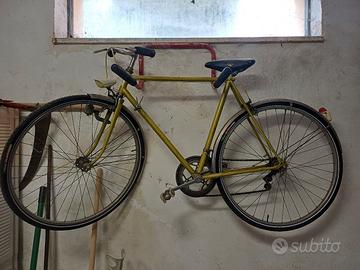 Bici adulto