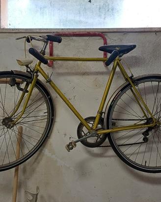 Bici adulto