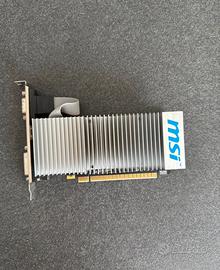 MSI Scheda Video