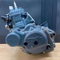 Motore Revisionato Rotax 123 Aprilia 125