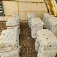 blocchi funghi esausti 