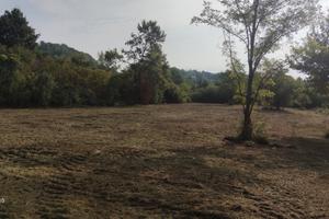 Terreno agricolo