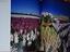 Immagine 4