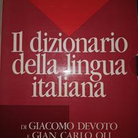 Dizionario di lingua italiana