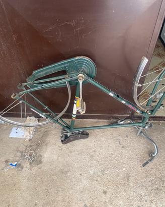 Bici telaio