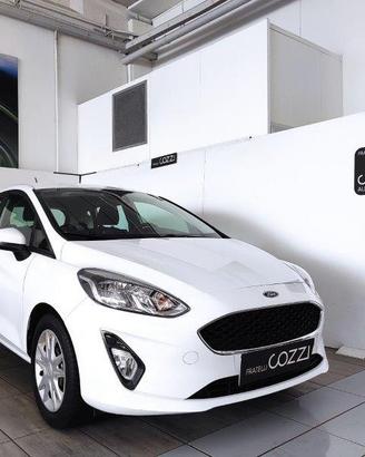FORD Fiesta 7ª serie - Fiesta 1.0 Ecoboost Hybrid