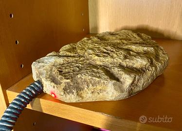 Roccia / pietra riscaldante per rettili 9w Trixie