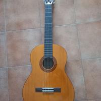 Chitarra acustica