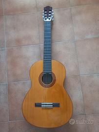 Chitarra acustica