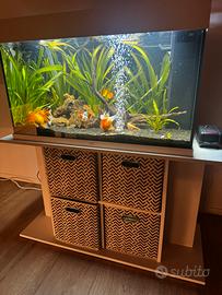 Acquario Juwel 120 l