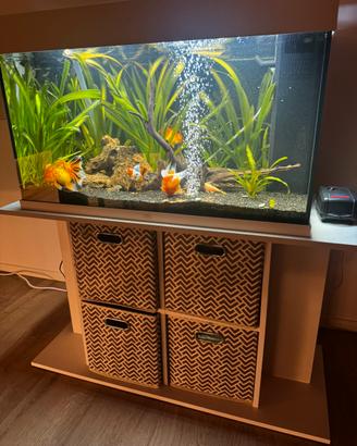 Acquario Juwel 120 l