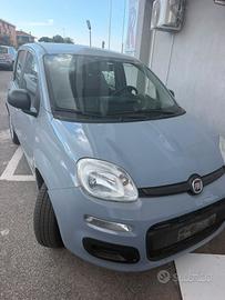 Fiat Panda 1.0 FireFly S&S Hybrid NESSUN VINCOLO F