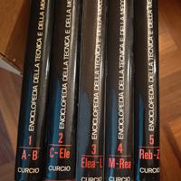 enciclopedia curcio