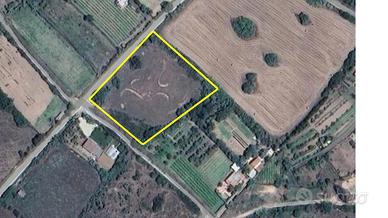 Terreno vicino al mare