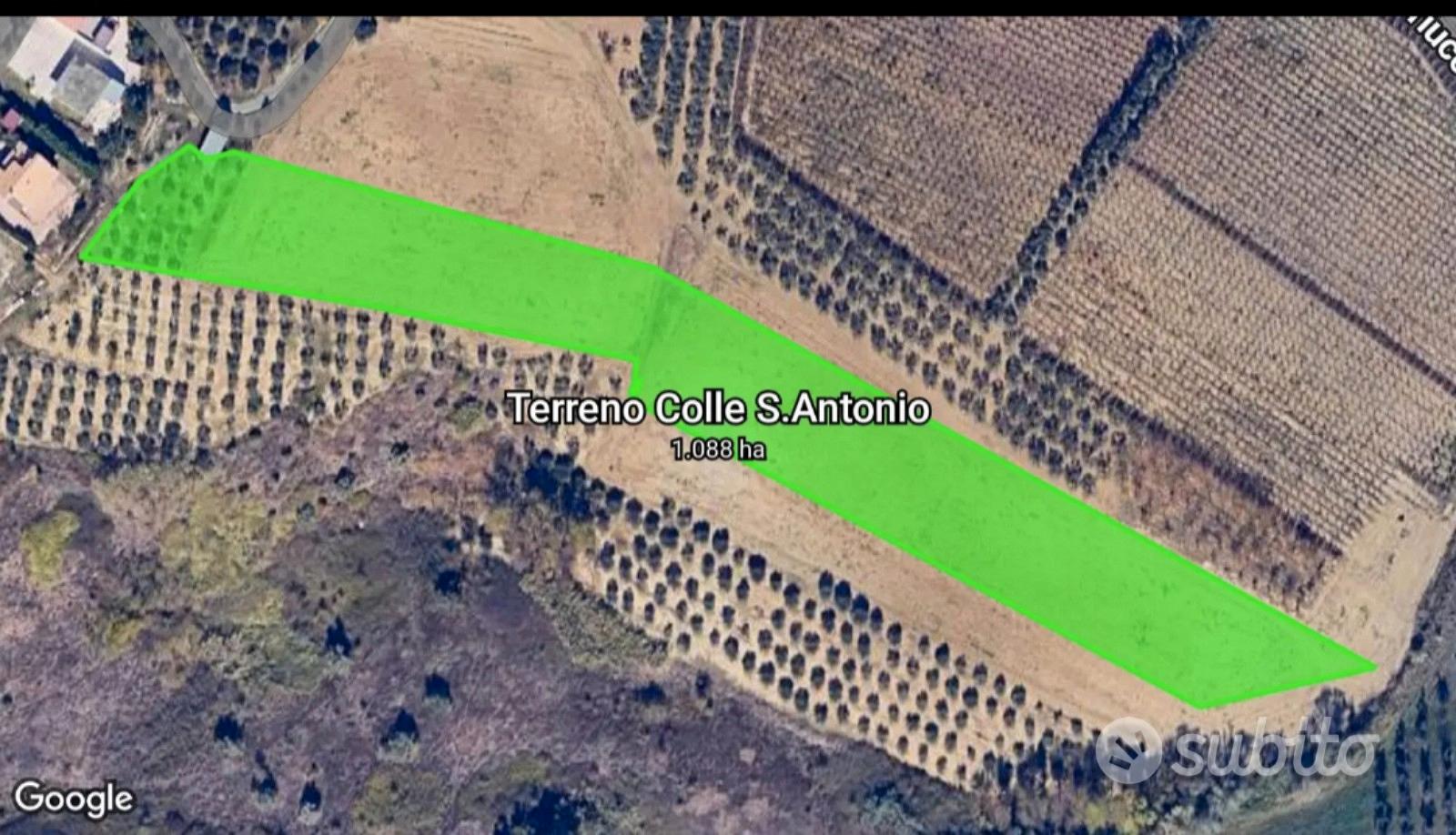 Terreno agricolo - Vista 4