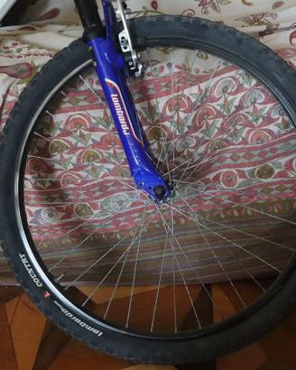 Mountain Bike junior