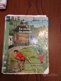 La storia in campo 