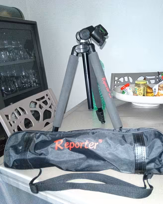 TREPPIEDE REPORTER