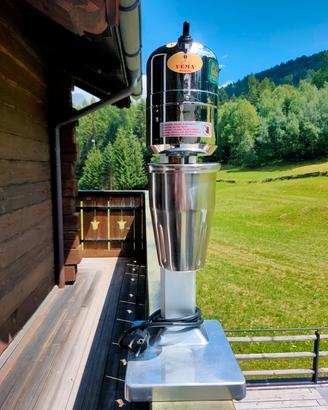 Frozen frullino Inox VEMA