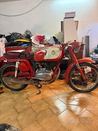 Mv Agusta 150 rs 1965