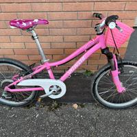Bici bambina 6 anni