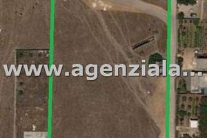 Terreno agricolo con fabbricato rurale