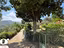 Immagine 8