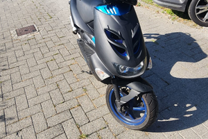 Smembro Sr ditech 2009