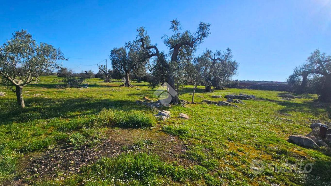 TER. AGRICOLO A NARDÒ - Altro