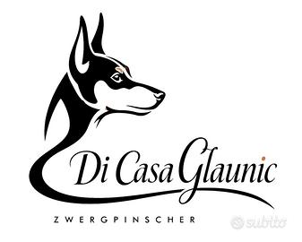 Pinscher nano
