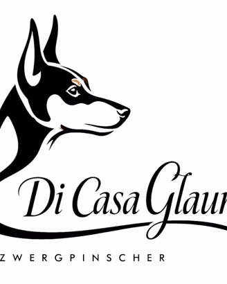 Pinscher nano