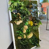 Quadri con erba e fogliami stabilizzati