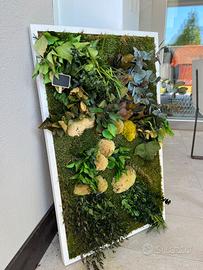 Quadri con erba e fogliami stabilizzati