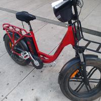 bicicletta elettrica 