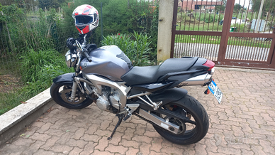 Fz 6