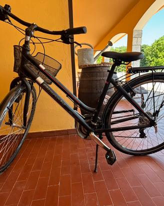 Bicicletta da donna Bianchi
