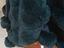 Immagine 6