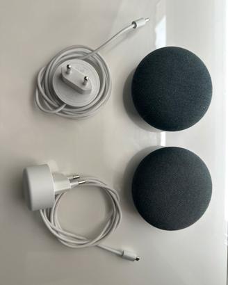 Google Home mini/ Nest mini di prima e seconda gen