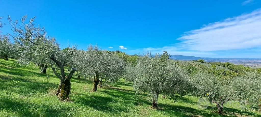 Terreno di 4000 m² a Spoleto - Vista 2