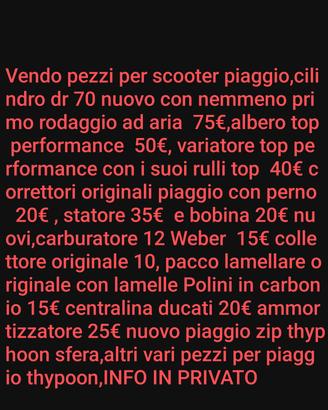 pezzi per scooter piaggio Malossi -top