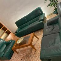Divani verdi in vera pelle.