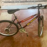 BICICLETTA MOUNTAIN BIKE 26 CON 18 VELOCITA'