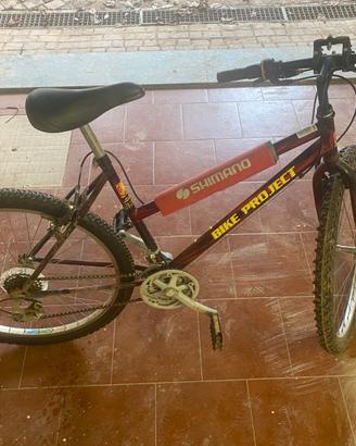BICICLETTA MOUNTAIN BIKE 26 CON 18 VELOCITA'
