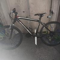 bicicletta usata