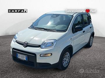 FIAT Pandina New PANDA Panda Serie 7 1.0 70cv...