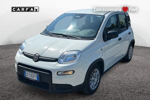 FIAT Pandina New PANDA Panda Serie 7 1.0 70cv...
