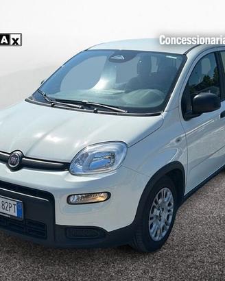 FIAT Pandina New PANDA Panda Serie 7 1.0 70cv...