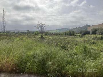 RGE 13/2025 Trib Pesaro - LOTTO 3