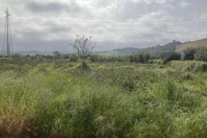 RGE 13/2025 Trib Pesaro - LOTTO 3