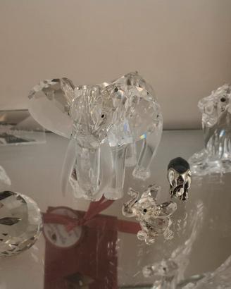 Swarovski Immagini d'africa 